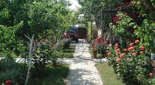 Гостиница Guest House Pomeste Витино-4